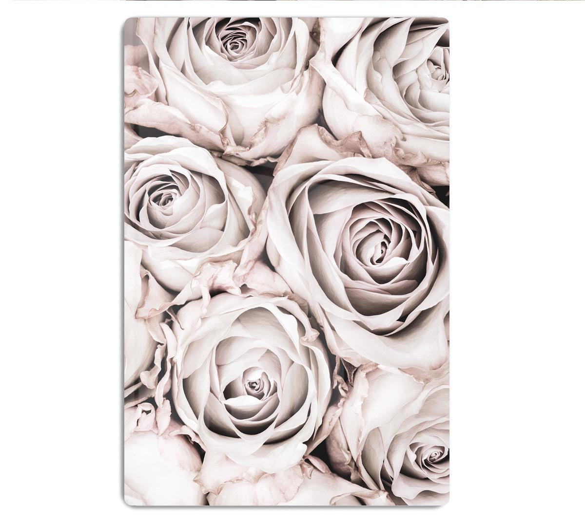 Grey Roses No 01 HD Metal Print - Canvas Art Rocks - 1