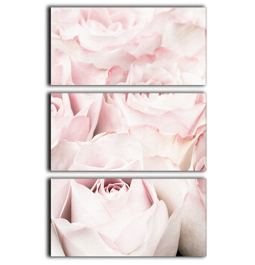 Pink Roses 05 3 Split Panel Canvas Print - Canvas Art Rocks - 1