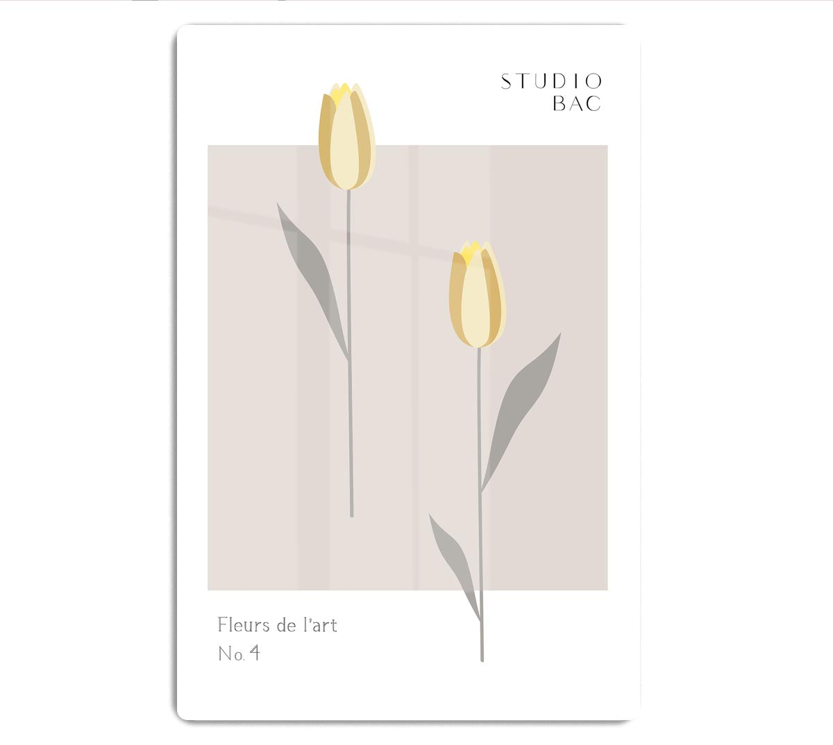 Tulips Studio Bac HD Metal Print - Canvas Art Rocks - 1