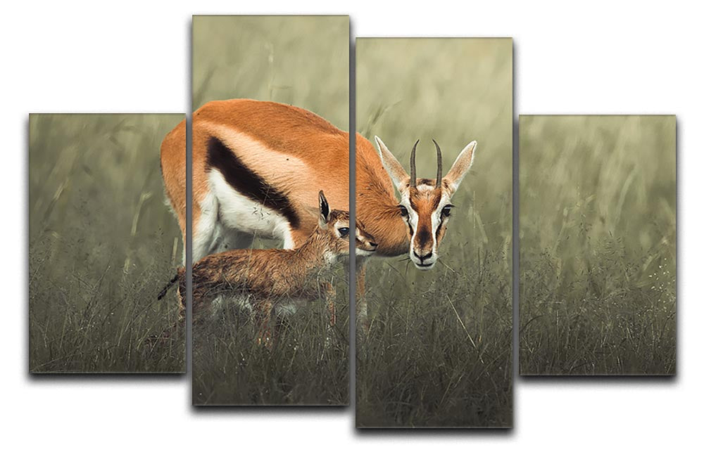 Gazelles Grazing 4 Split Panel Canvas - Canvas Art Rocks - 1