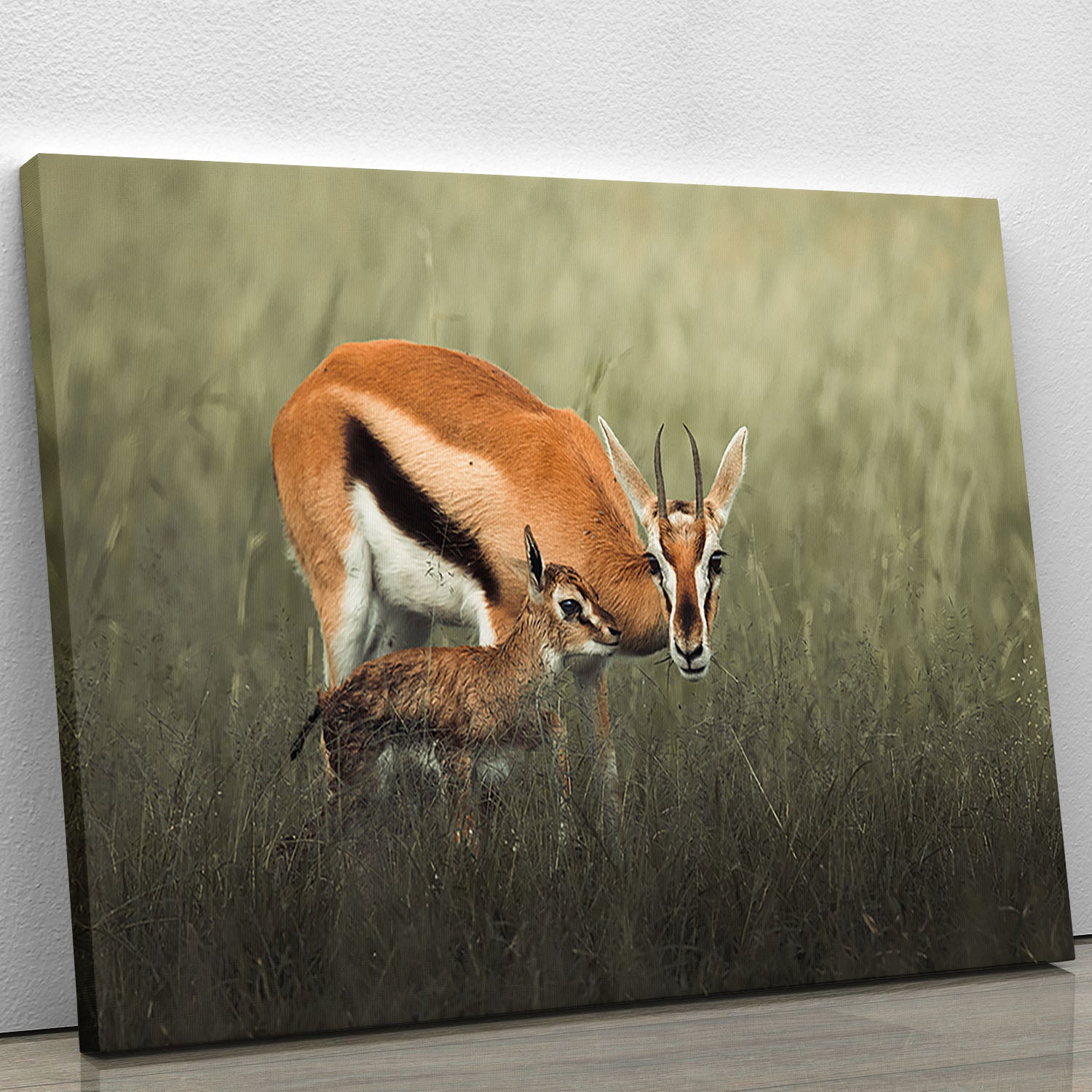 Gazelles Grazing Canvas Print or Poster - Canvas Art Rocks - 1