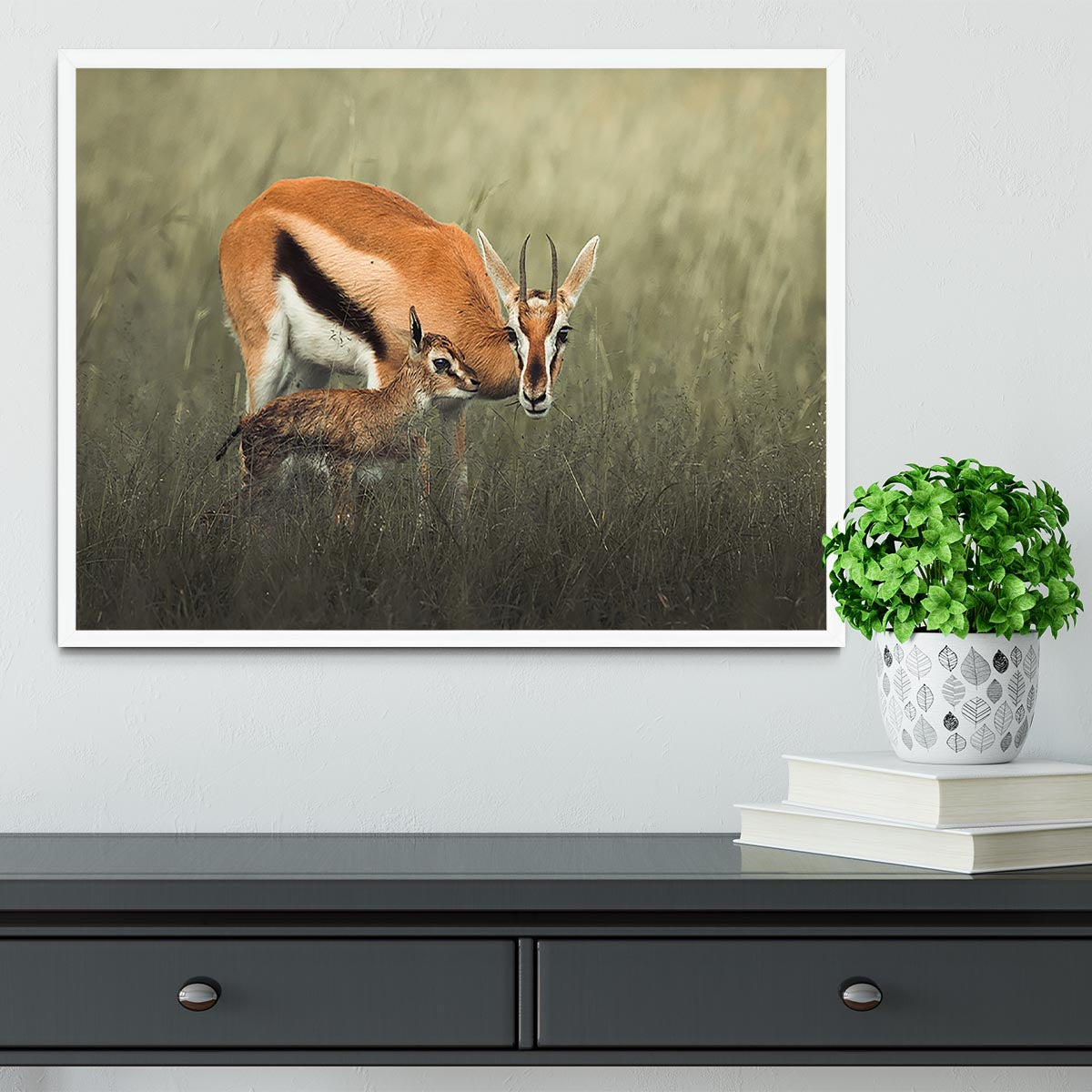 Gazelles Grazing Framed Print - Canvas Art Rocks -6