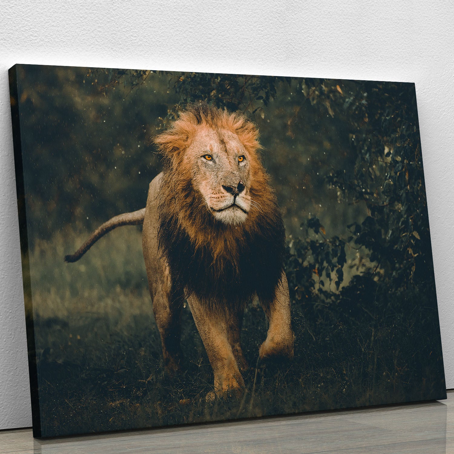 Lion Running In The Woods Canvas Print or Poster - Canvas Art Rocks - 1