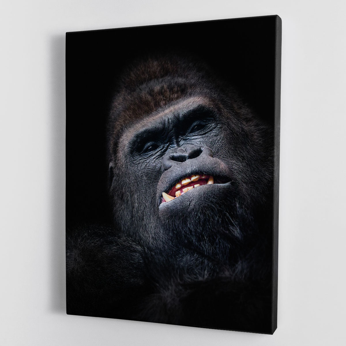 Gorilla face seen from above Canvas Print or Poster - Canvas Art Rocks - 1
