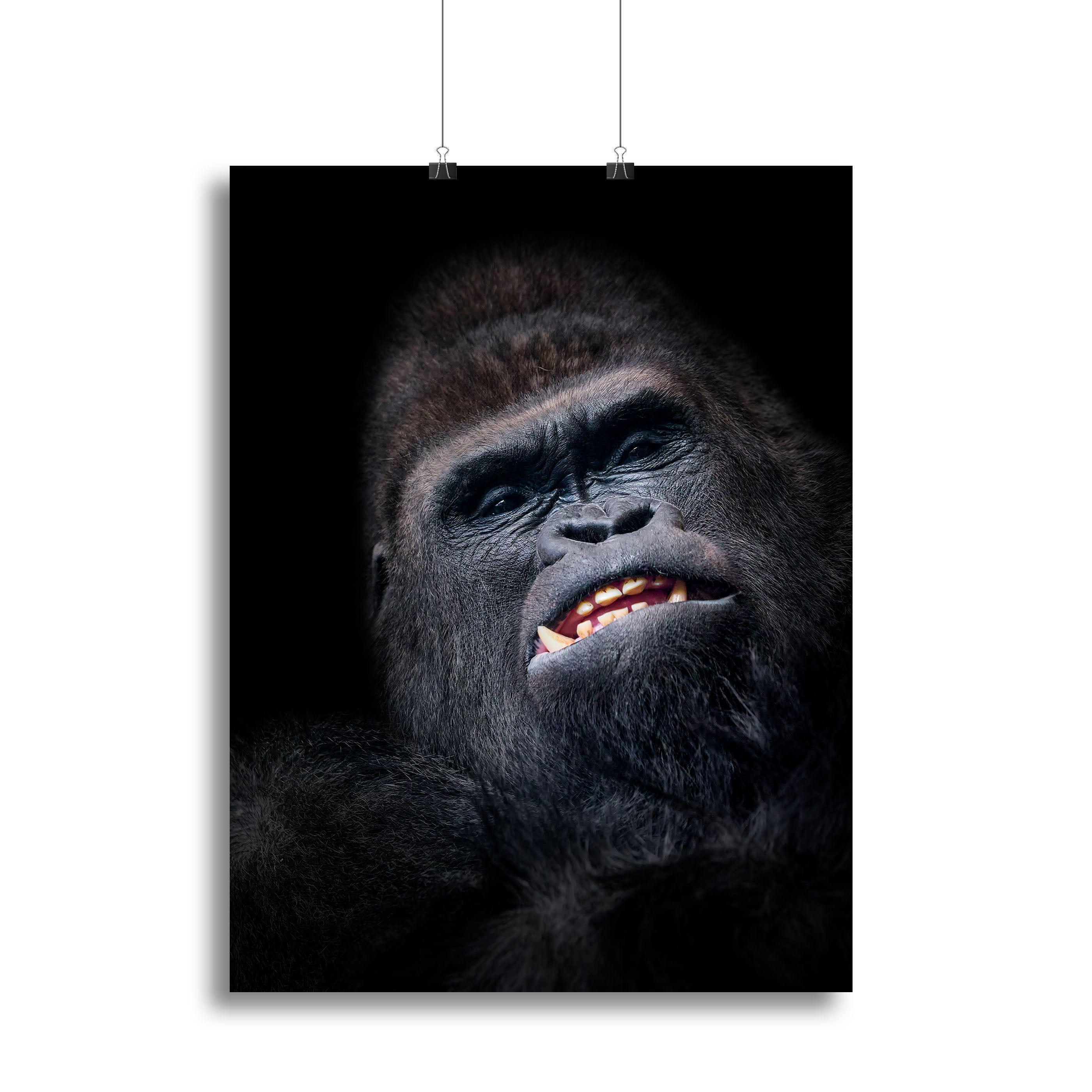 Gorilla face seen from above Canvas Print or Poster - Canvas Art Rocks - 2