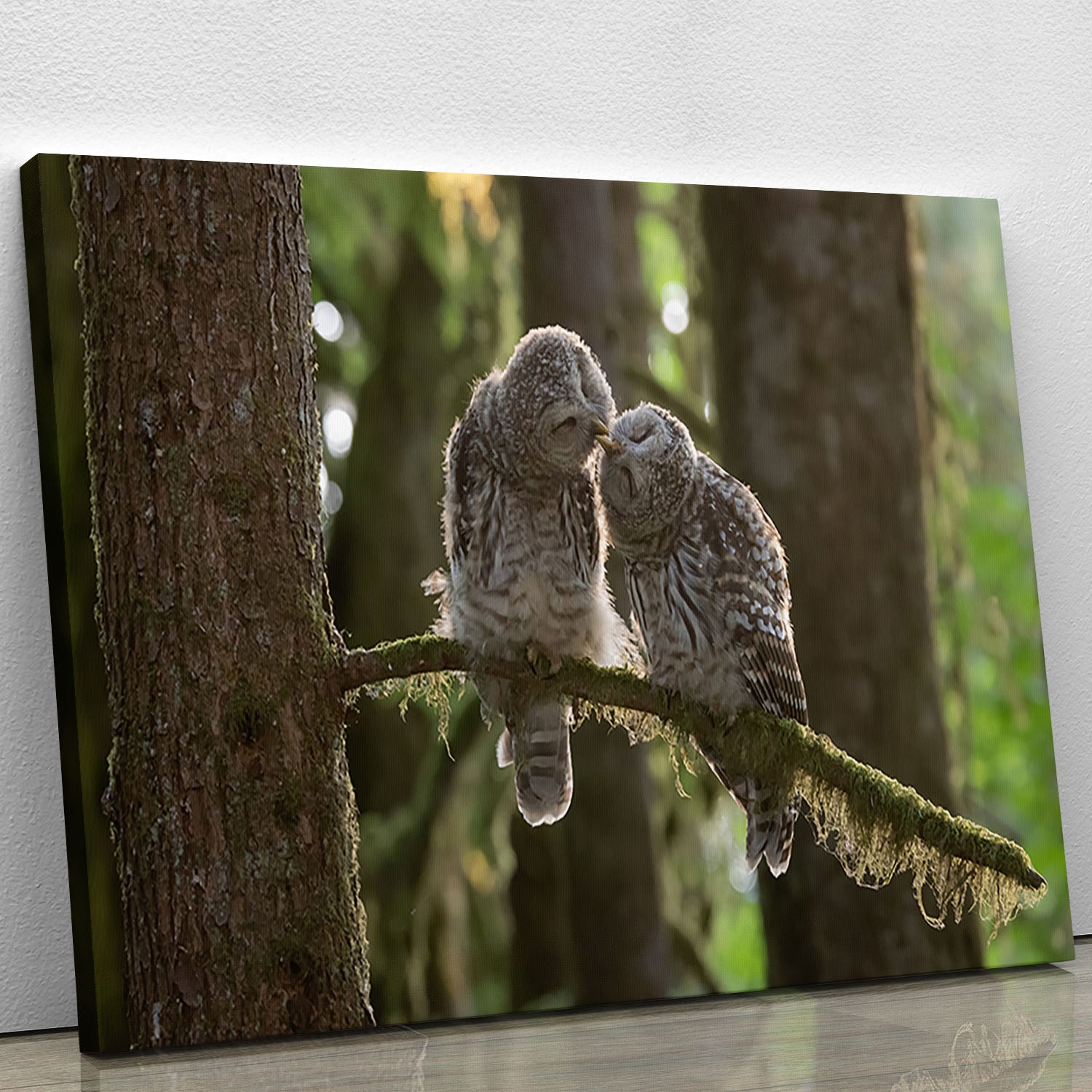 Two Owls Kissing Canvas Print or Poster - Canvas Art Rocks - 1