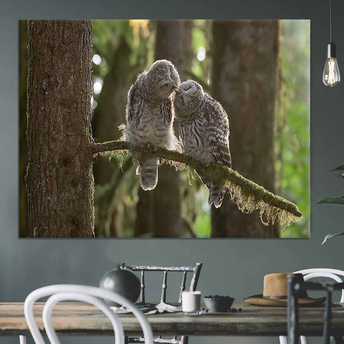 Two Owls Kissing Canvas Print or Poster - Canvas Art Rocks - 3