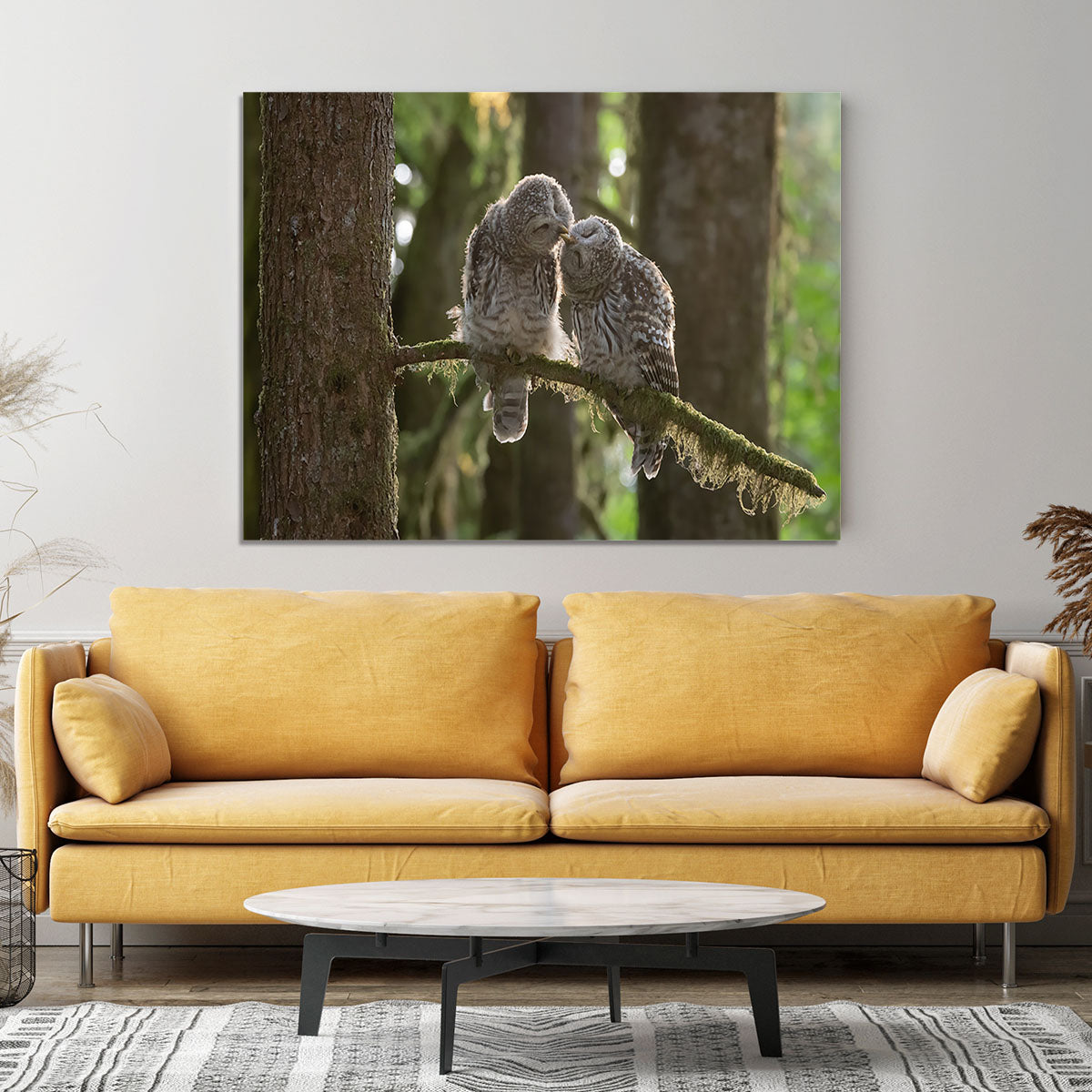 Two Owls Kissing Canvas Print or Poster - Canvas Art Rocks - 4
