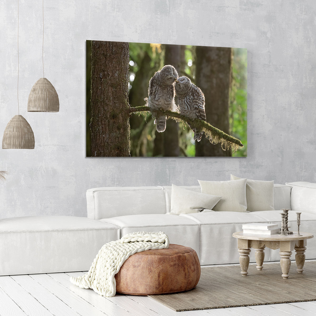Two Owls Kissing Canvas Print or Poster - Canvas Art Rocks - 6