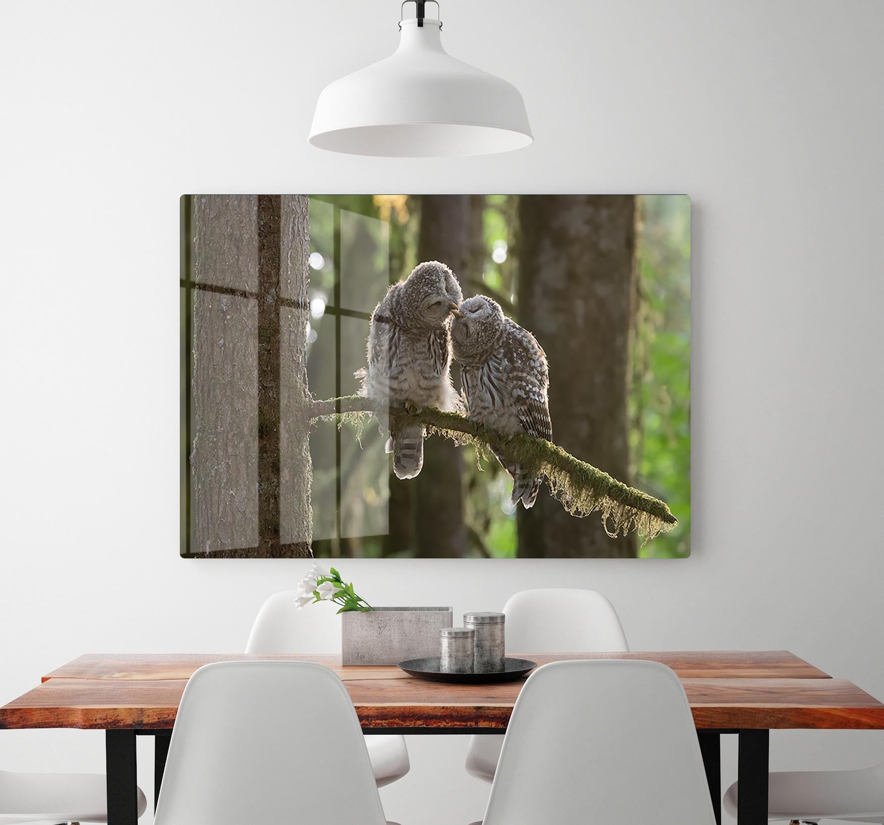 Two Owls Kissing HD Metal Print - Canvas Art Rocks - 2