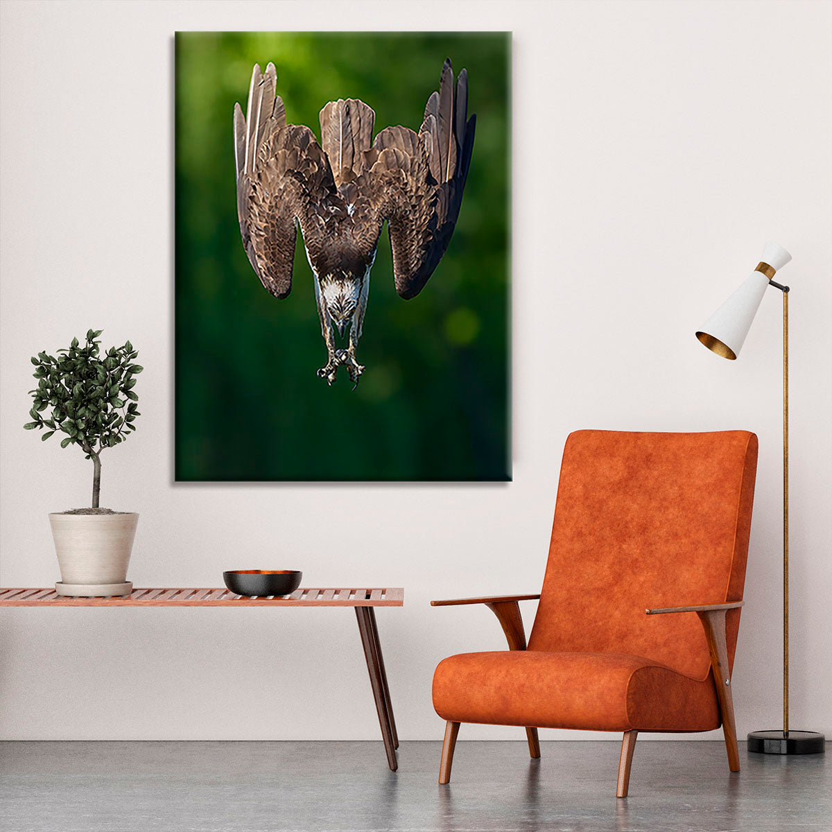 An Eagle Preparing To Attack Canvas Print or Poster - Canvas Art Rocks - 6