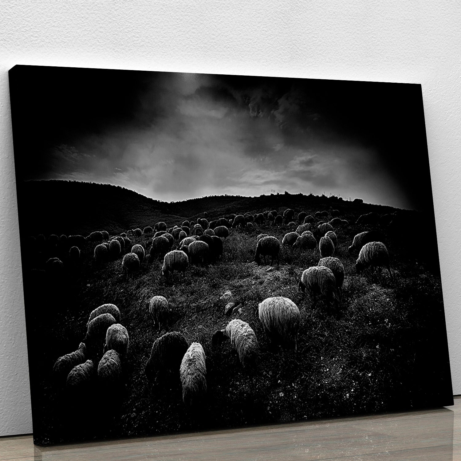 The sheep in the valley Canvas Print or Poster - Canvas Art Rocks - 1