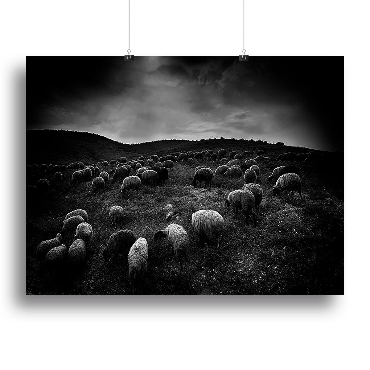 The sheep in the valley Canvas Print or Poster - Canvas Art Rocks - 2