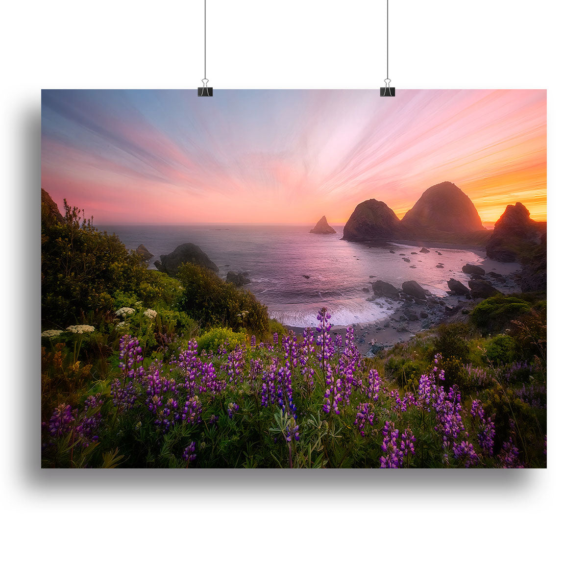 Sister Rocks with Lupin Blooms Canvas Print or Poster - Canvas Art Rocks - 2