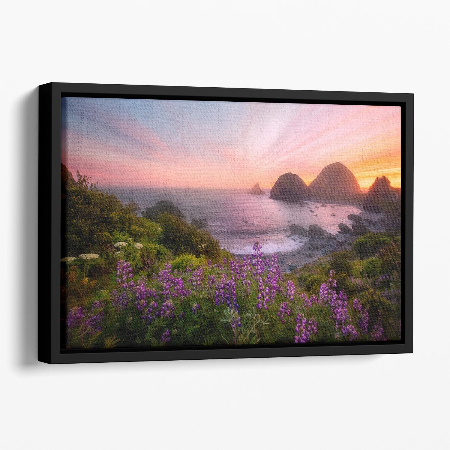 Sister Rocks with Lupin Blooms Floating Framed Canvas - Canvas Art Rocks - 1