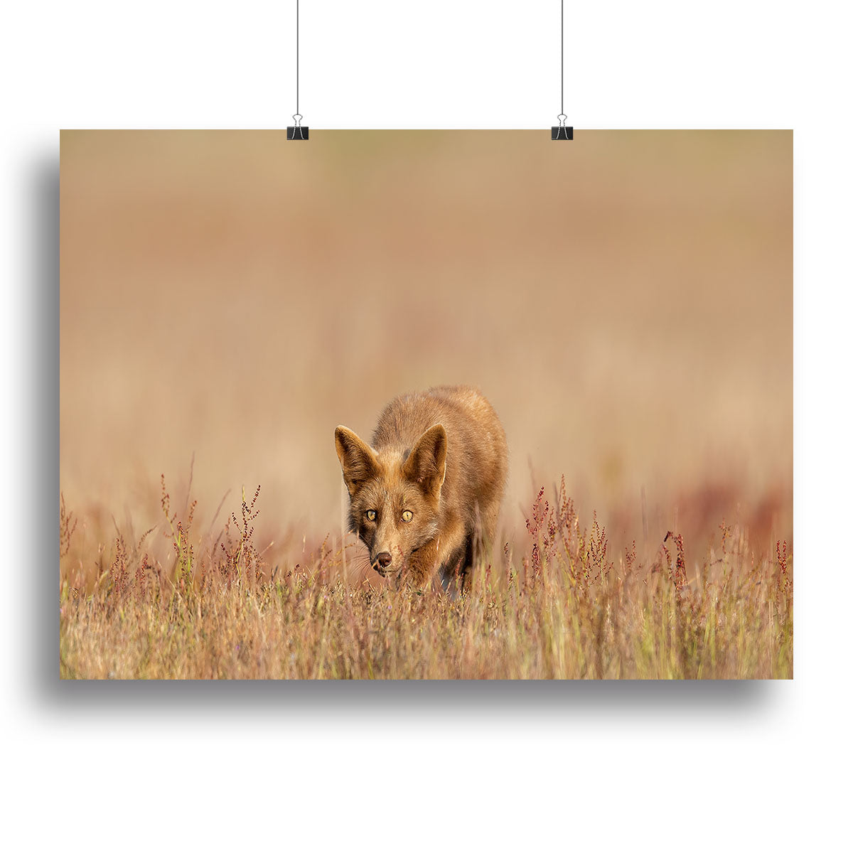 A Fox On The Hunt Canvas Print or Poster - Canvas Art Rocks - 2