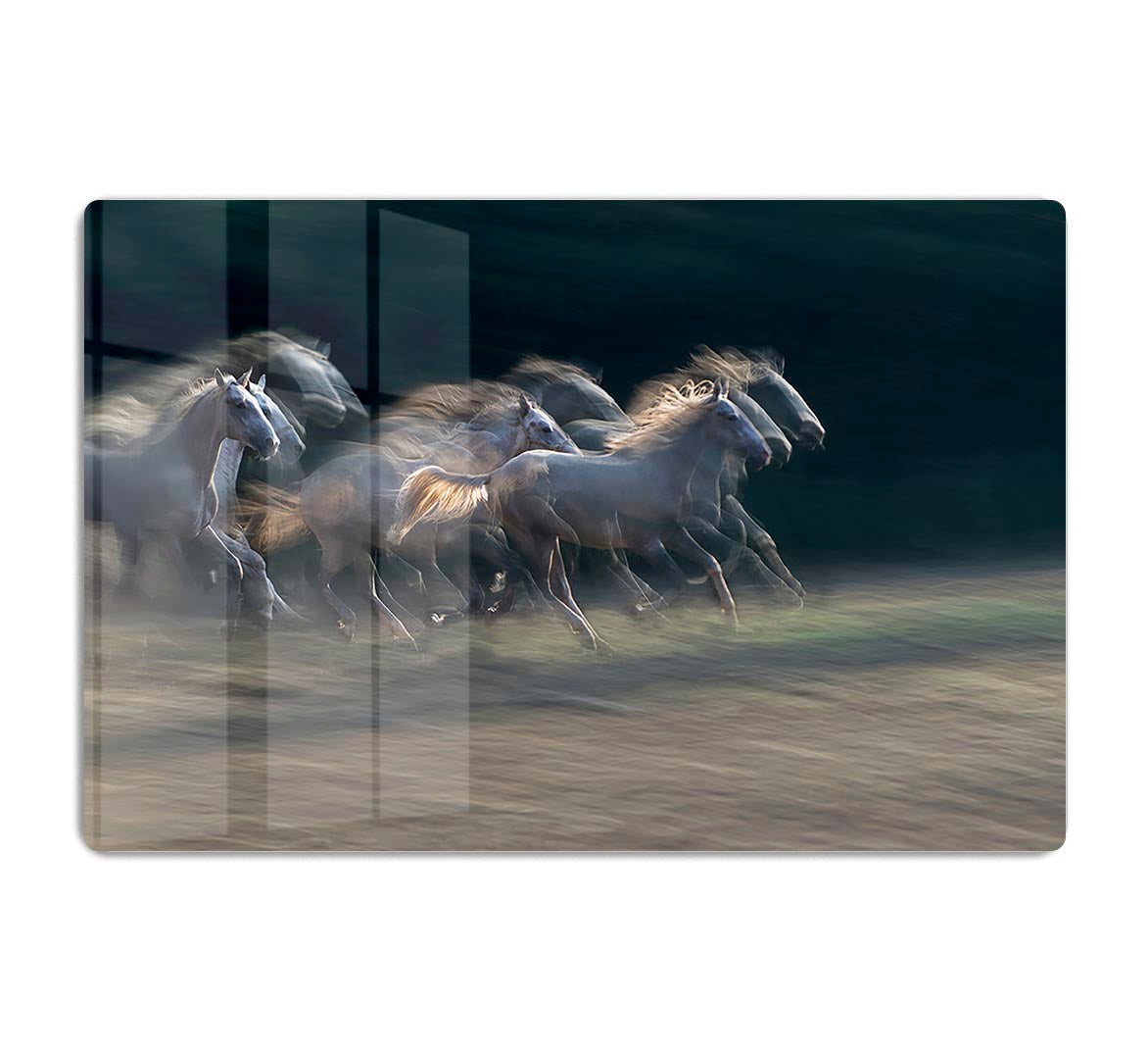 A Horses Gallop HD Metal Print - Canvas Art Rocks - 1