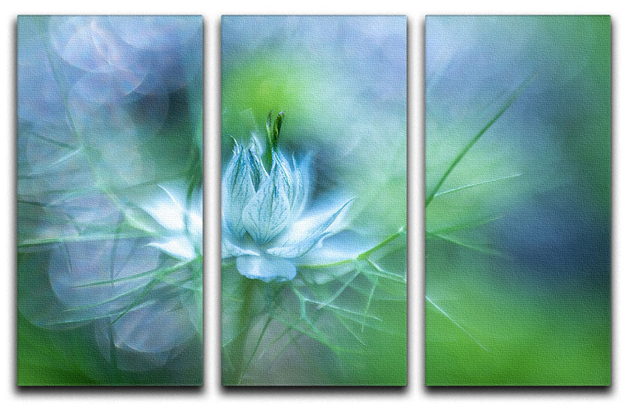 Blue Flower 3 Split Panel Canvas Print - Canvas Art Rocks - 1