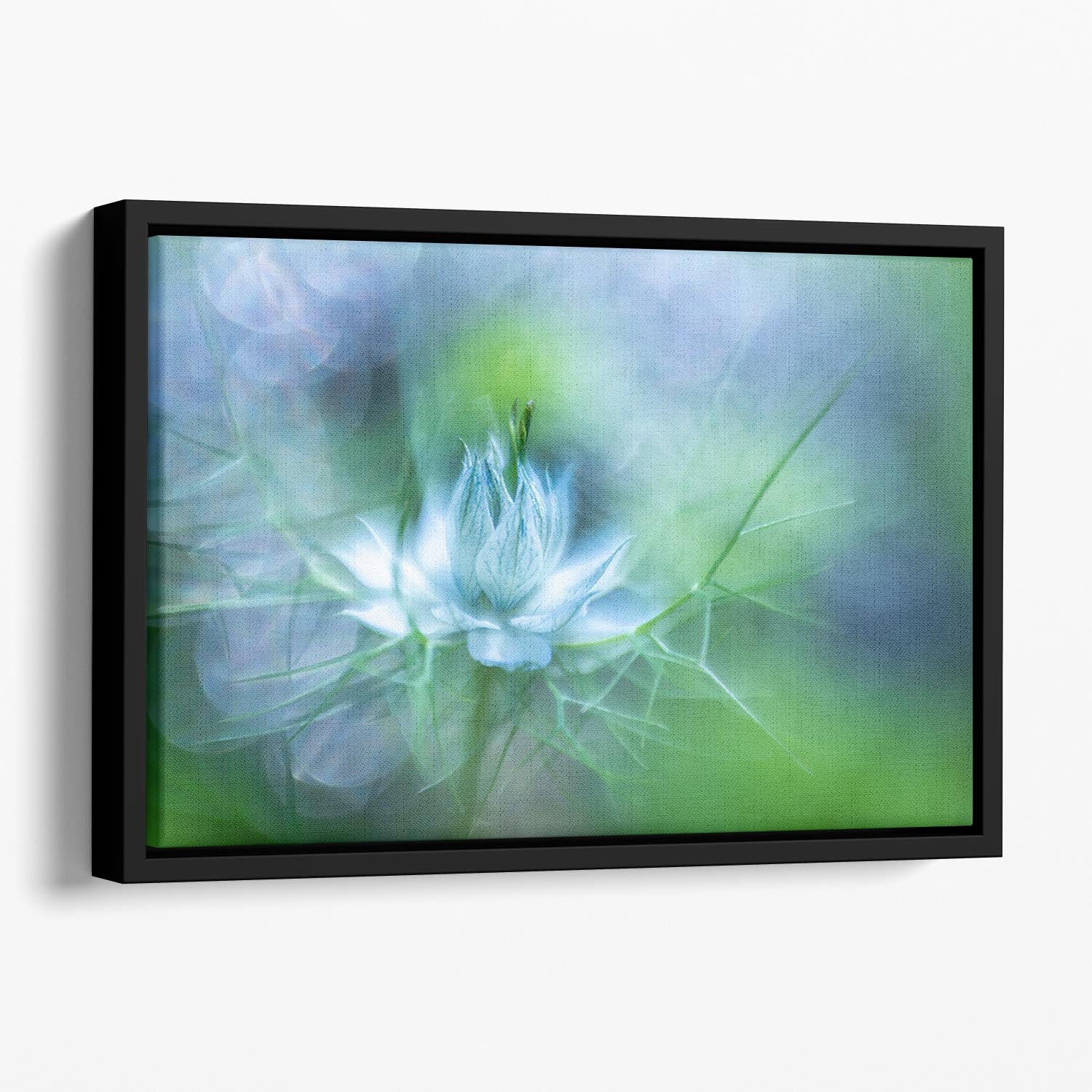 Blue Flower Floating Framed Canvas - Canvas Art Rocks - 1