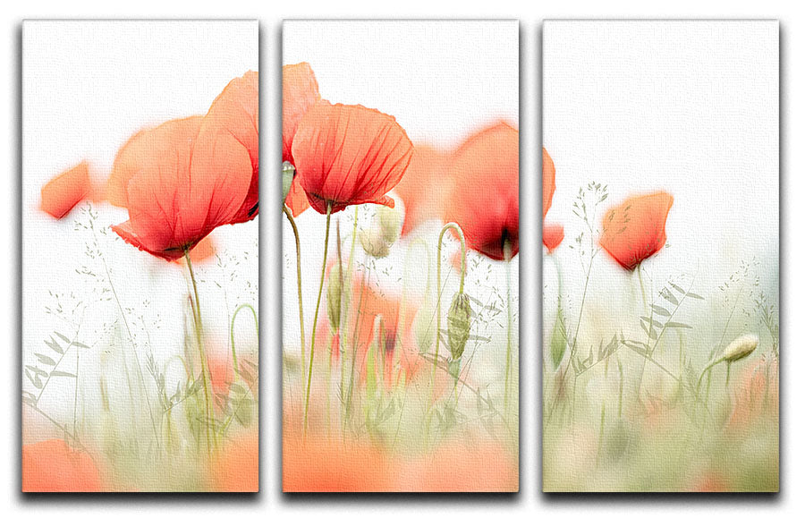 Poppies On A Summer Day 3 Split Panel Canvas Print - Canvas Art Rocks - 1