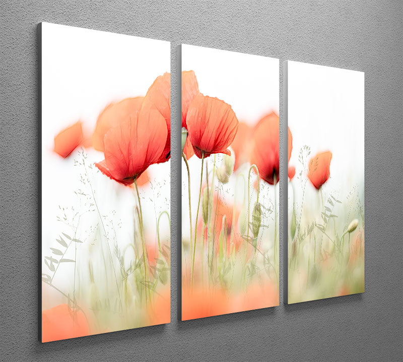 Poppies On A Summer Day 3 Split Panel Canvas Print - Canvas Art Rocks - 2