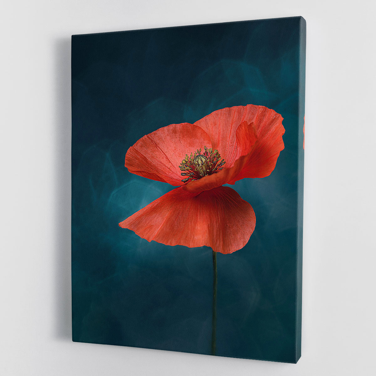 A Single Red Flower Canvas Print or Poster - Canvas Art Rocks - 1