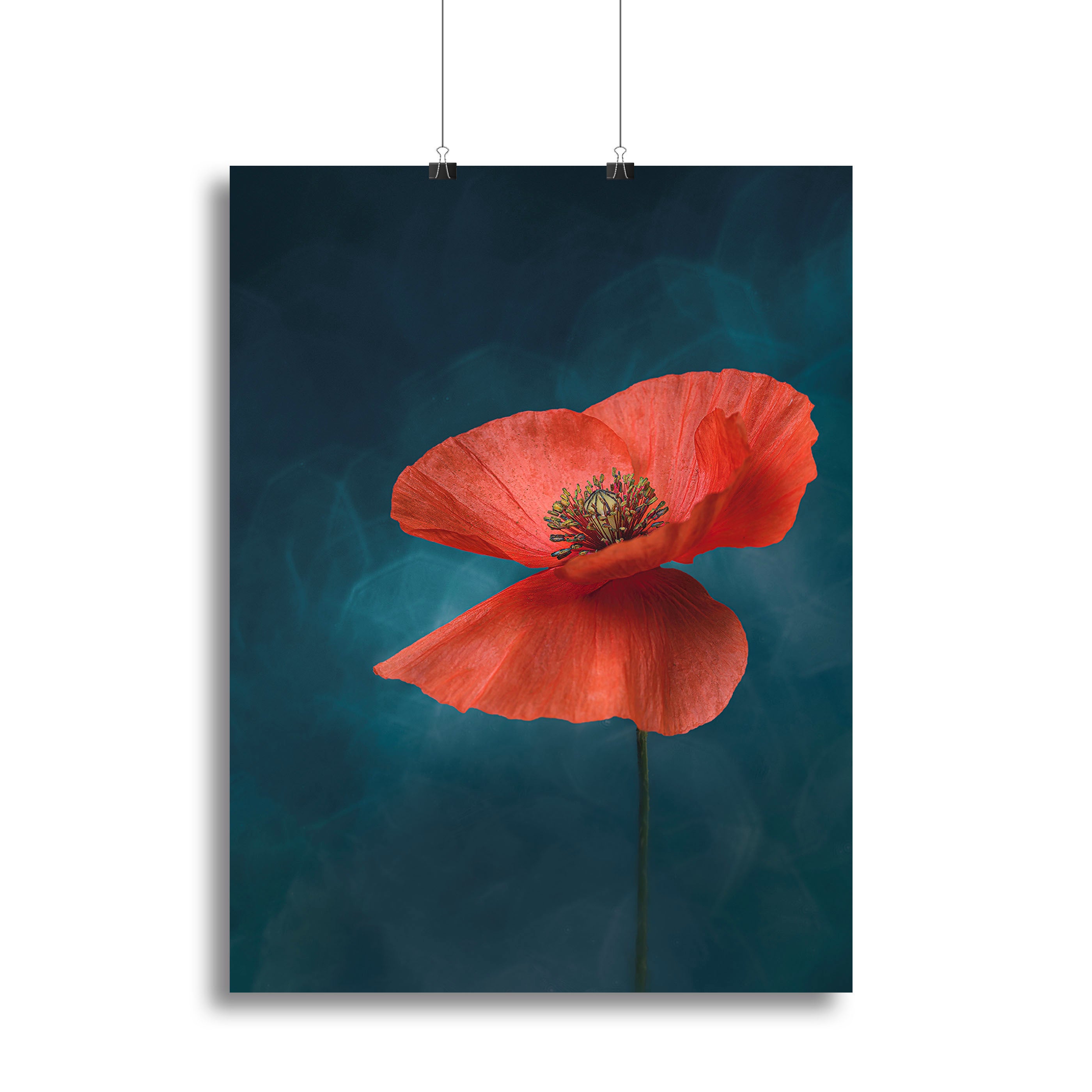 A Single Red Flower Canvas Print or Poster - Canvas Art Rocks - 2