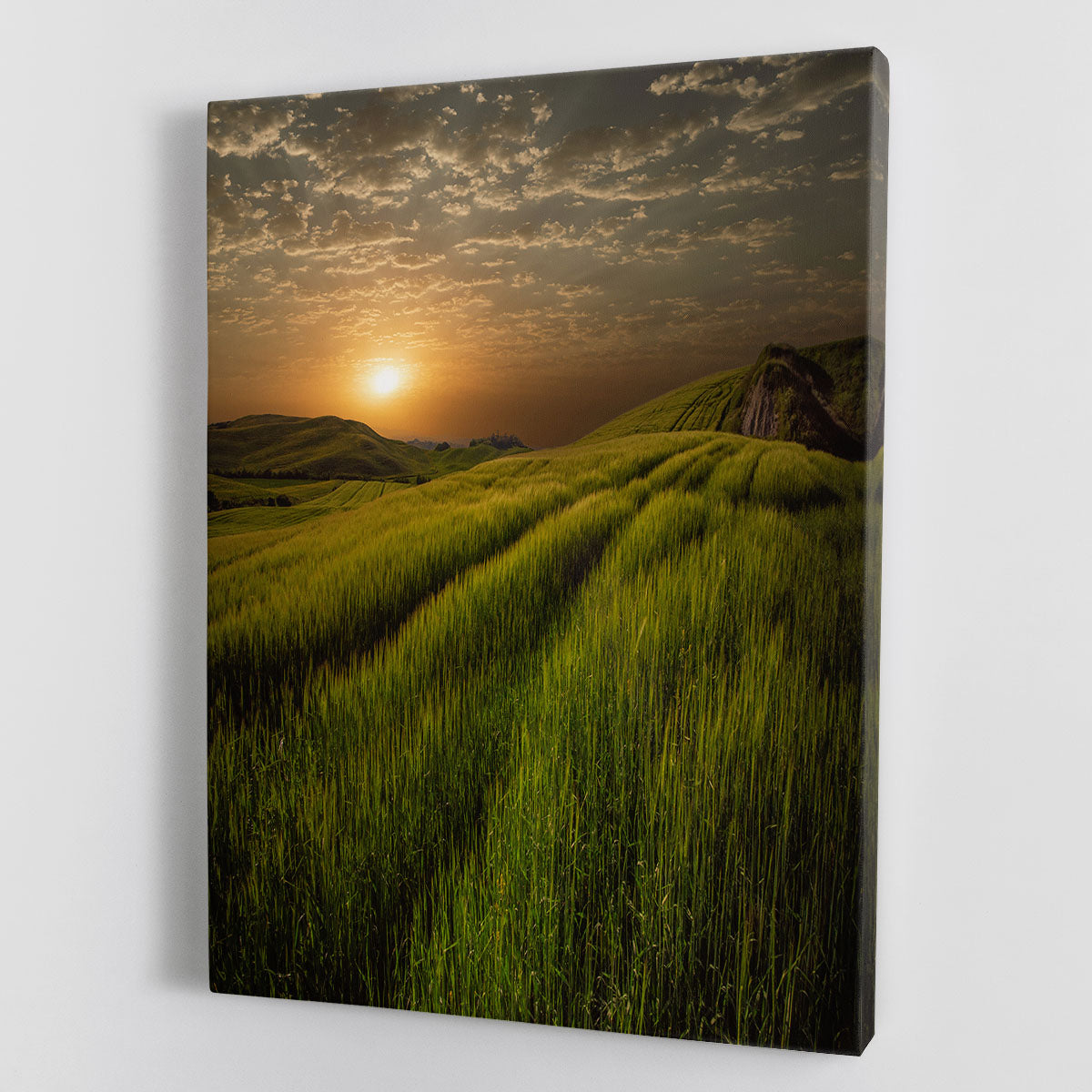 Sunset Over The Fields Canvas Print or Poster - Canvas Art Rocks - 1