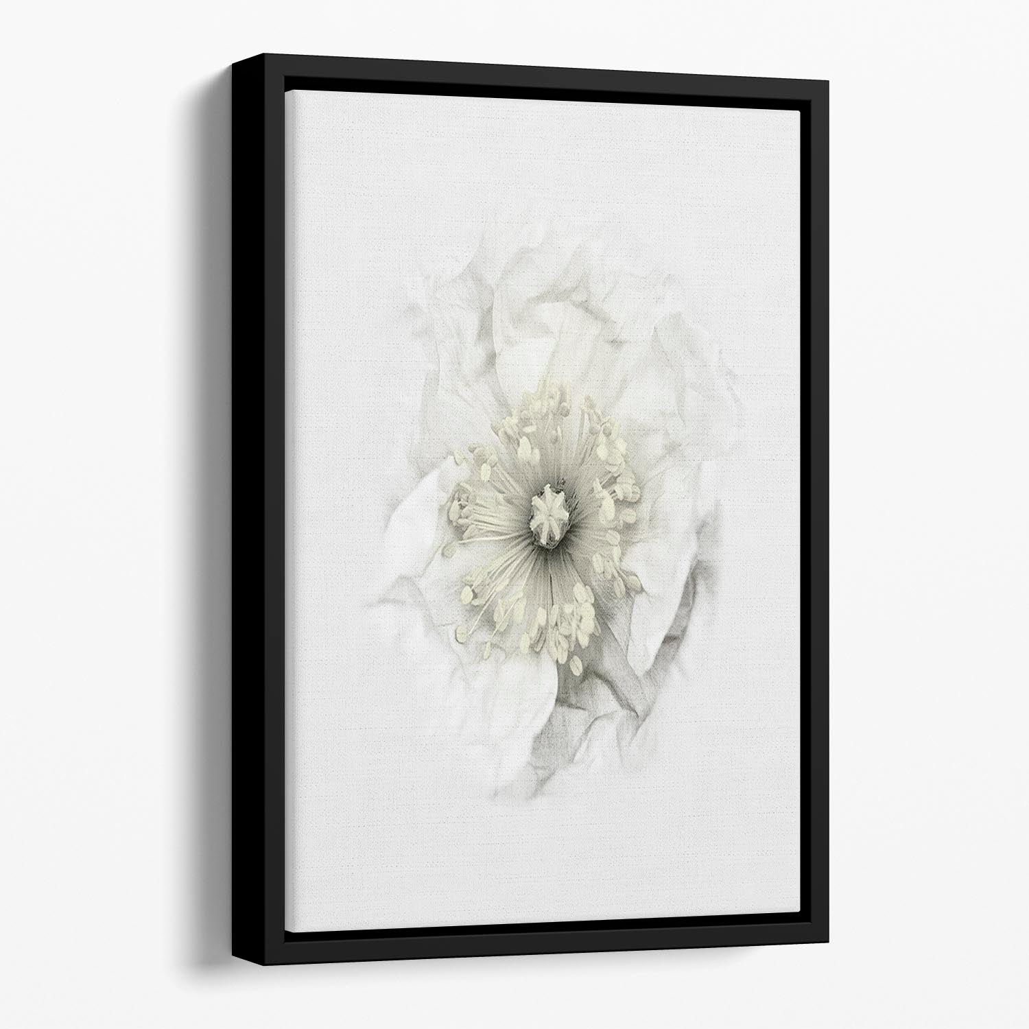 A White Poppy Floating Framed Canvas - Canvas Art Rocks - 1