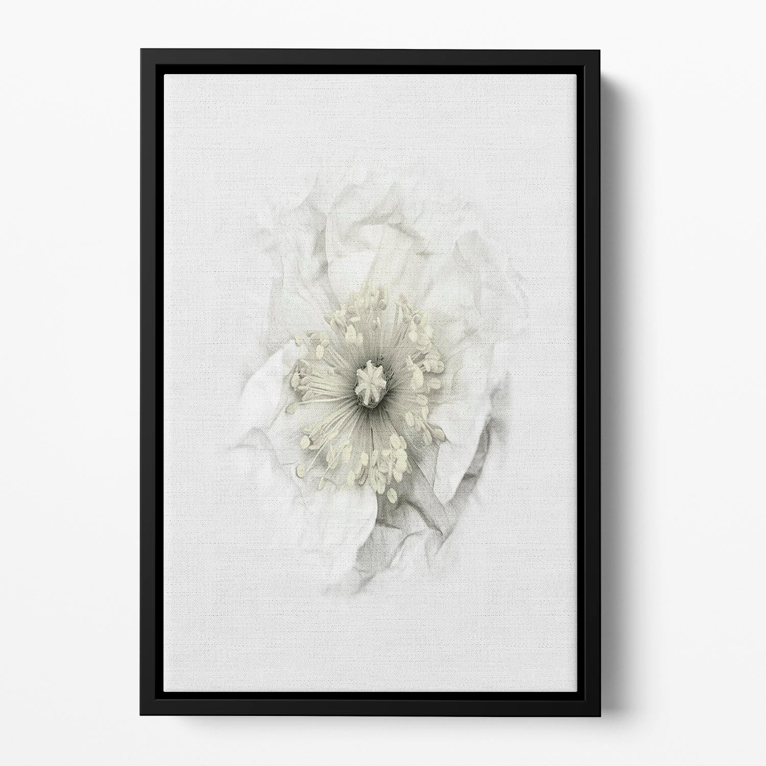 A White Poppy Floating Framed Canvas - Canvas Art Rocks - 2