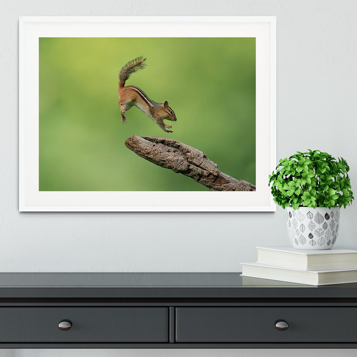 Squirell Leaping Framed Print - Canvas Art Rocks - 5