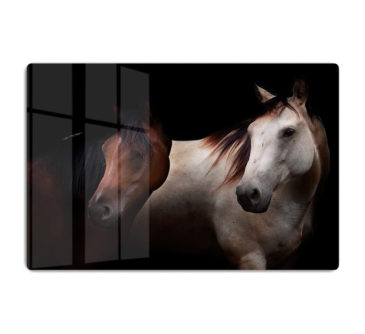 Horses In The Dark HD Metal Print - Canvas Art Rocks - 1