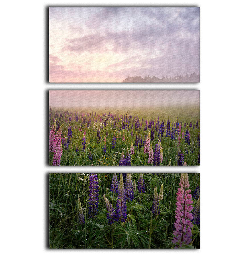 Lupines On A Foggy Day 3 Split Panel Canvas Print - Canvas Art Rocks - 1