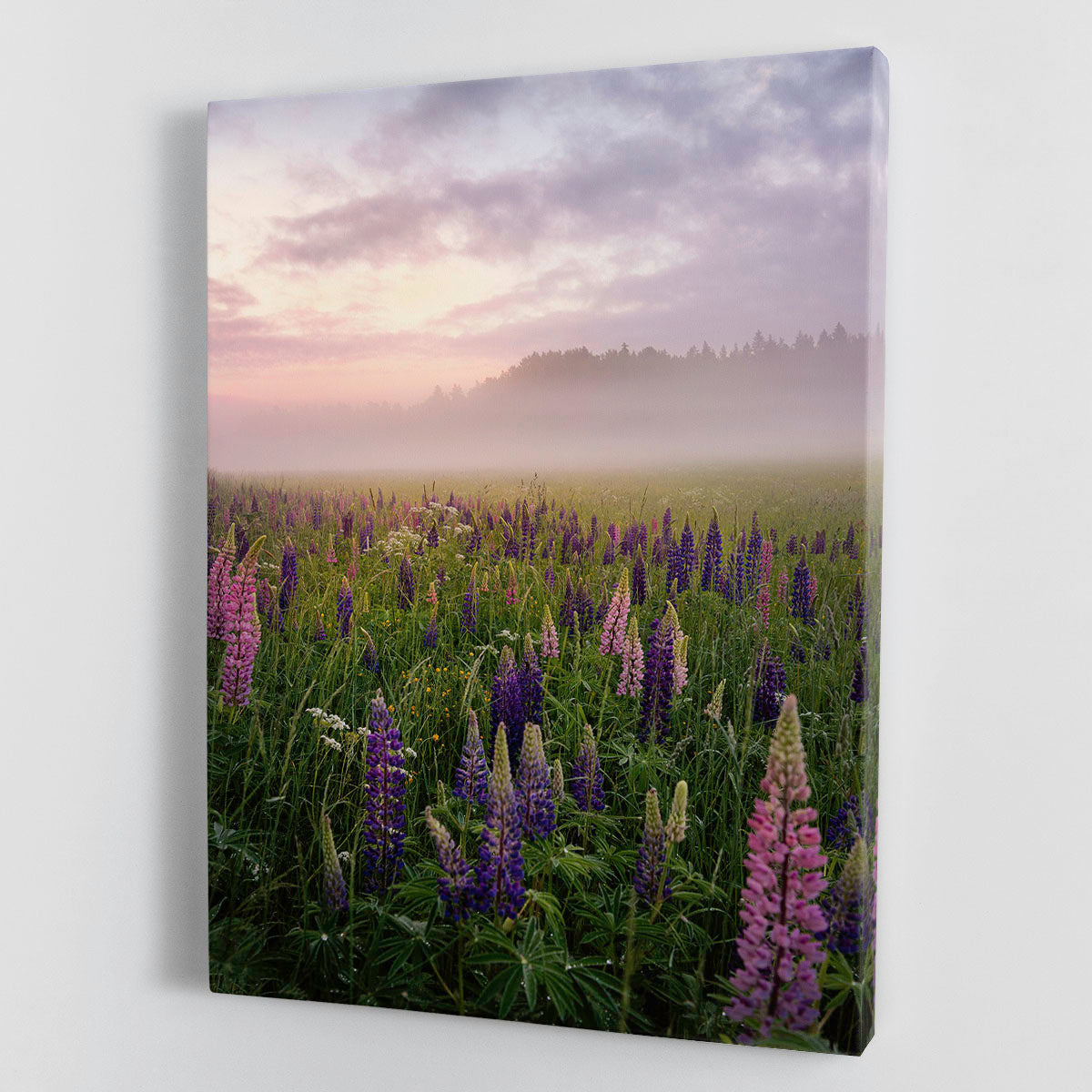 Lupines On A Foggy Day Canvas Print or Poster - Canvas Art Rocks - 1