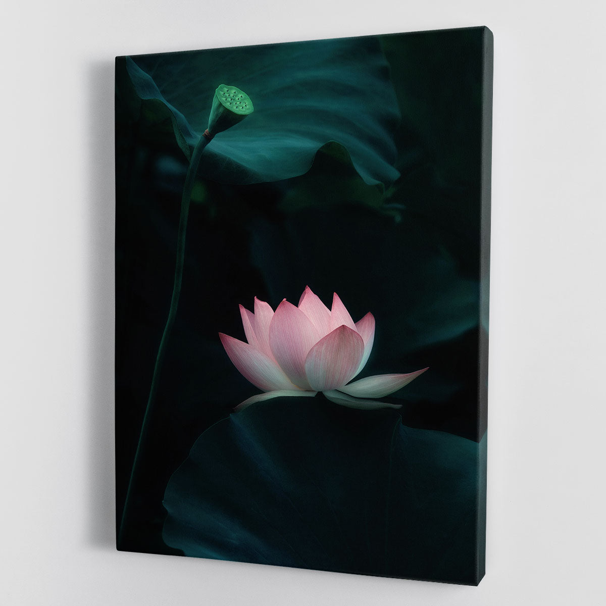 Lotus Flower Canvas Print or Poster - Canvas Art Rocks - 1