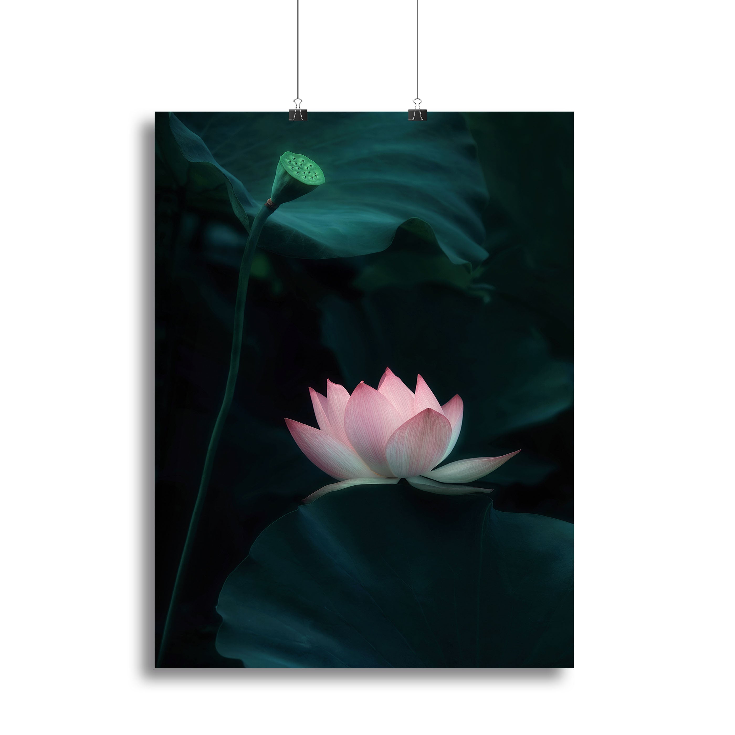 Lotus Flower Canvas Print or Poster - Canvas Art Rocks - 2