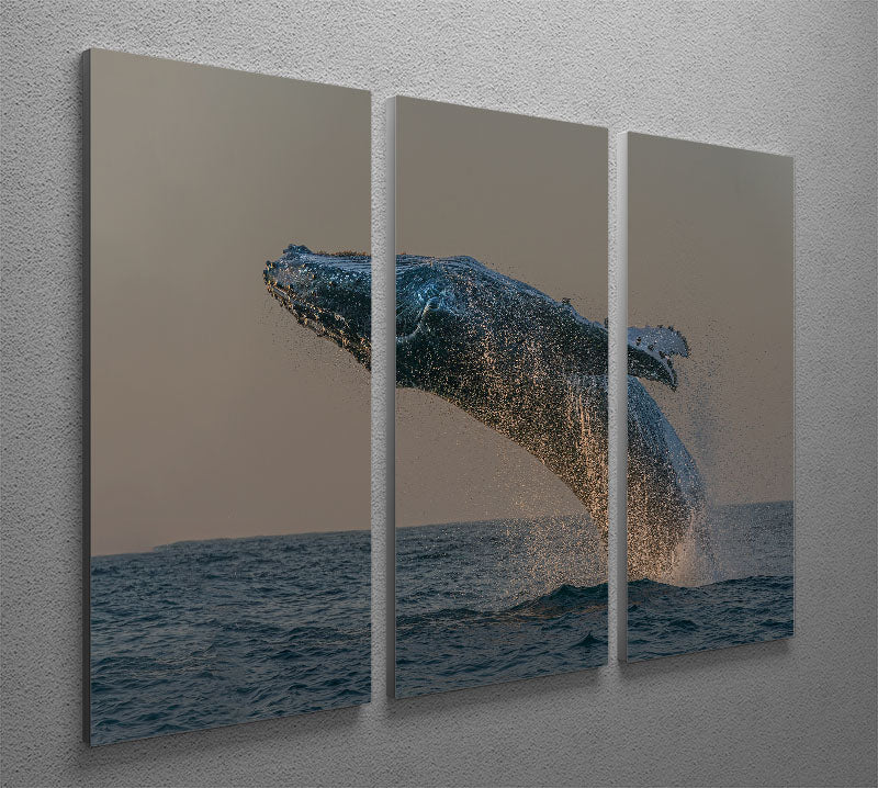 Whale Fliiping Out The Ocean 3 Split Panel Canvas Print - Canvas Art Rocks - 2