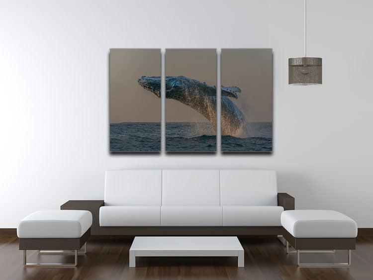 Whale Fliiping Out The Ocean 3 Split Panel Canvas Print - Canvas Art Rocks - 3