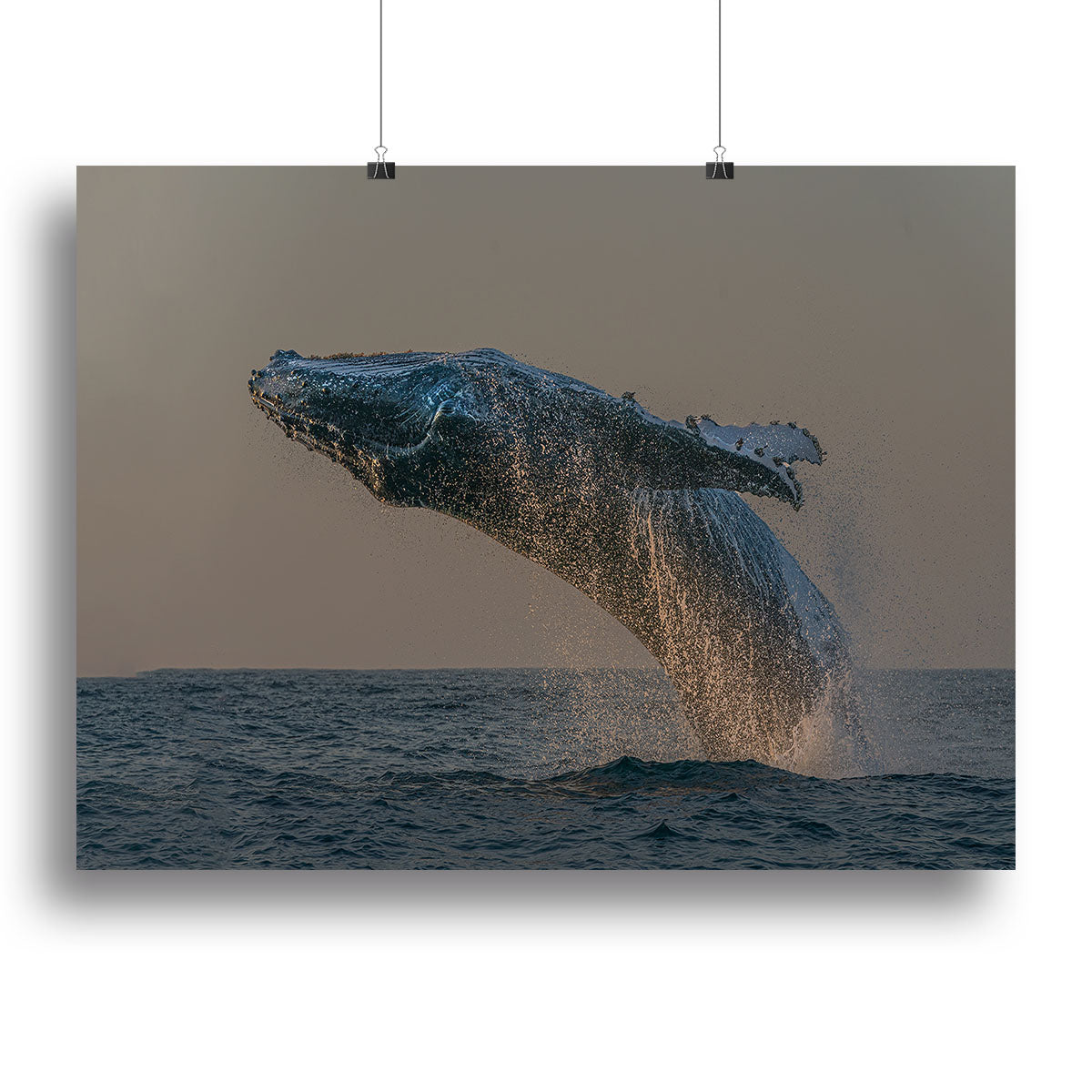 Whale Fliiping Out The Ocean Canvas Print or Poster - Canvas Art Rocks - 2