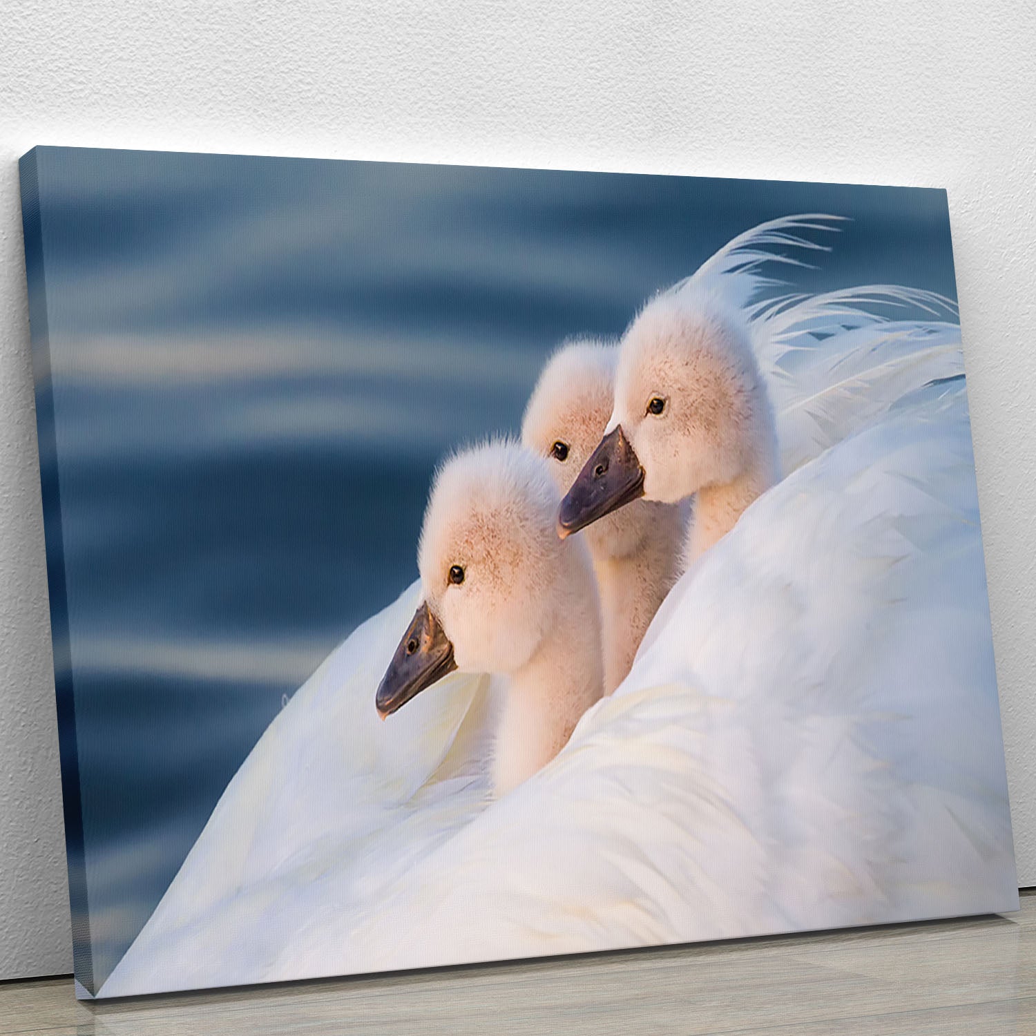 Three White Swans Canvas Print or Poster - Canvas Art Rocks - 1