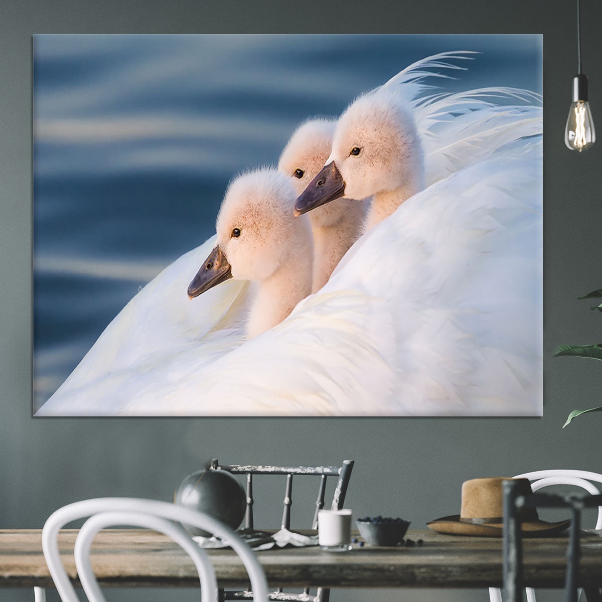 Three White Swans Canvas Print or Poster - Canvas Art Rocks - 3