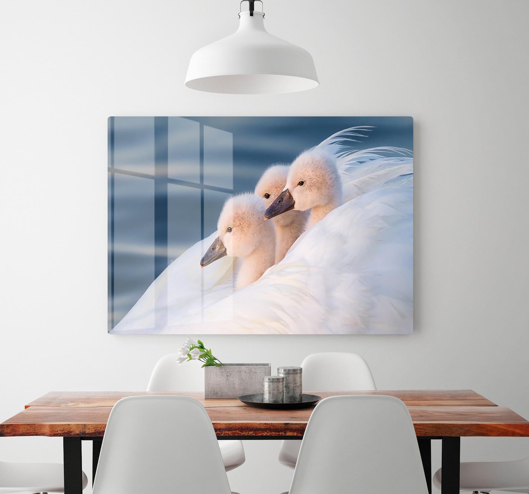 Three White Swans HD Metal Print - Canvas Art Rocks - 2