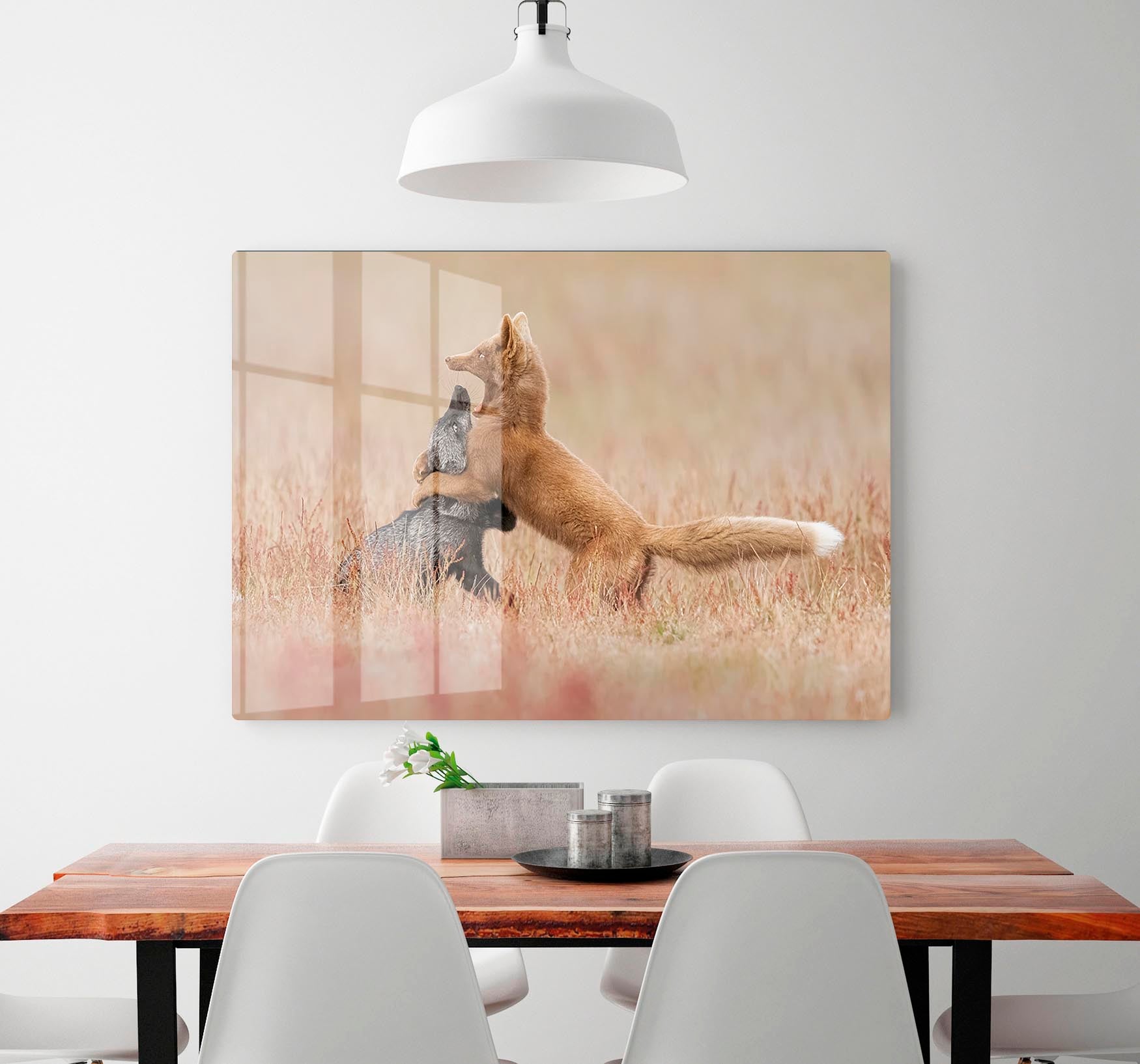 Two Foxes Playing In The Grass HD Metal Print - Canvas Art Rocks - 2