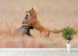 Two Foxes Playing In The Grass Wall Mural Wallpaper - Canvas Art Rocks - 4