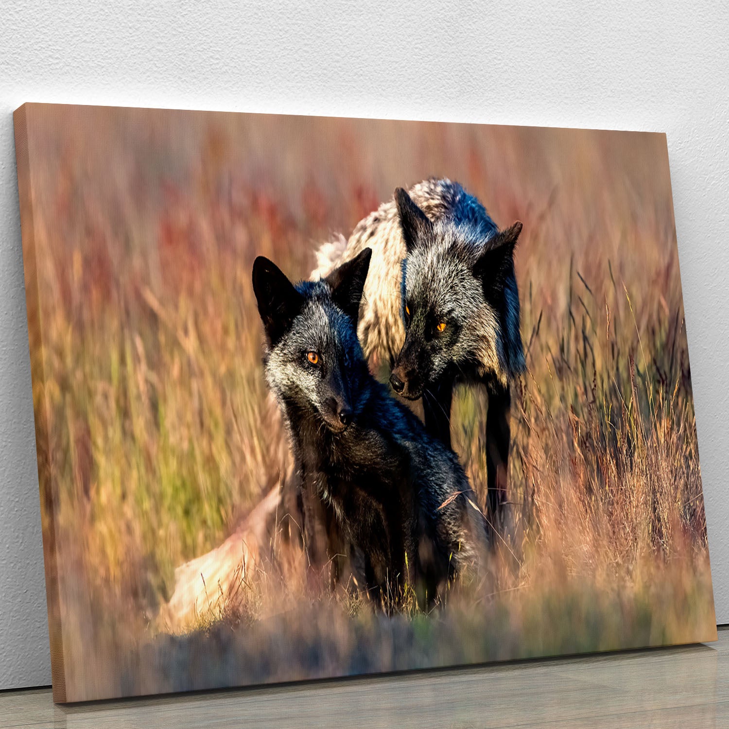 Two Black Foxes Canvas Print or Poster - Canvas Art Rocks - 1