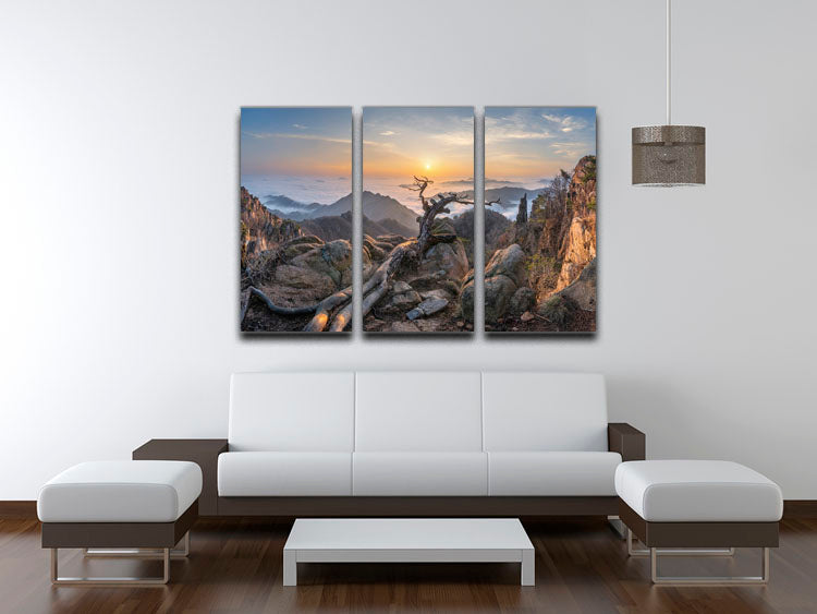 Dead pine On The Mountains 3 Split Panel Canvas Print - Canvas Art Rocks - 3