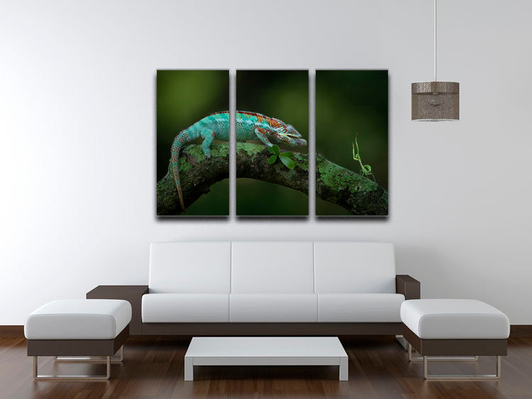 Chamelon Catching Its Prey 3 Split Panel Canvas Print - Canvas Art Rocks - 3