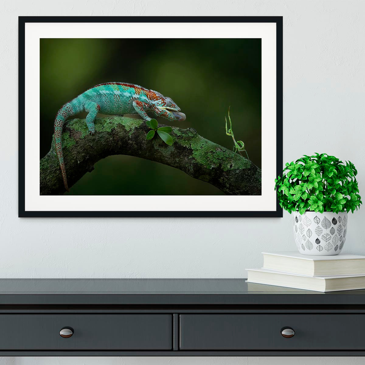 Chamelon Catching Its Prey Framed Print - Canvas Art Rocks - 1