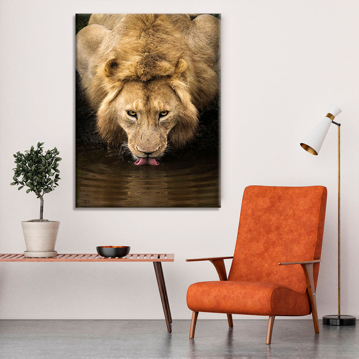A Thirsty Lion Canvas Print or Poster - Canvas Art Rocks - 6