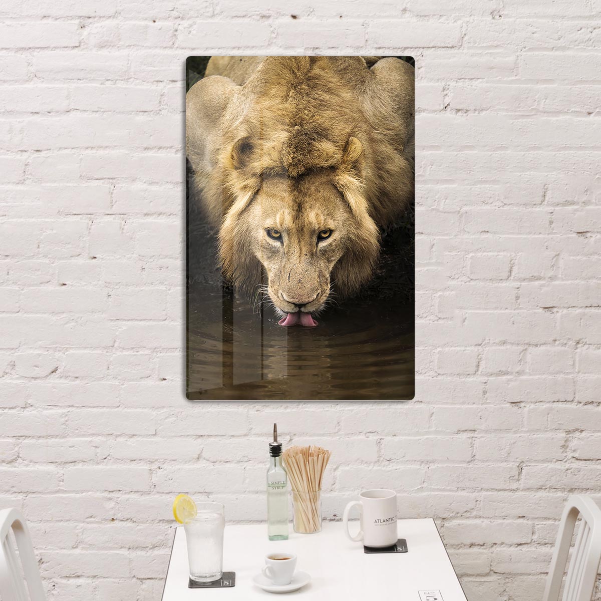 A Thirsty Lion HD Metal Print - Canvas Art Rocks - 2